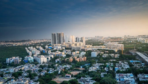 Why You Should Invest in Panvel